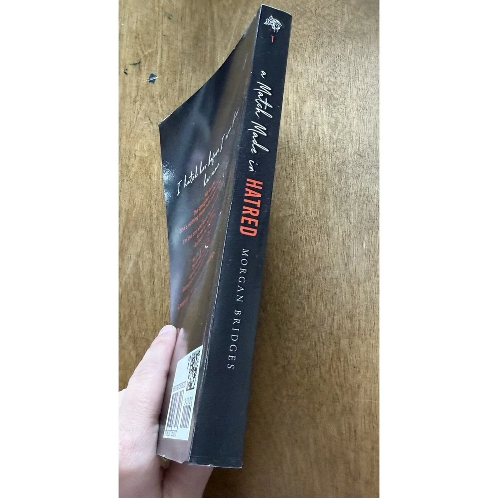 A Match Made In Hatred Morgan Bridges Paperback